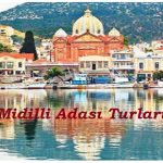 midilli turlari
