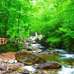 Kocaeli Yuvacık Aytepe