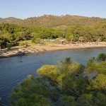 Muğla Günlüklü Koyu