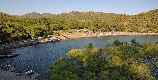 Muğla Günlüklü Koyu