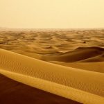 Dubai Şehir Turu ve Barbekülü Çöl Safarisi