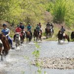 Marmaris Milli Parkı