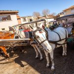 İstanbul Adalar Atlı Taşıma Gün Turu