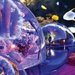 İstanbul Akvaryum ve Aqua Florya Turu